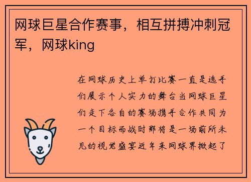 网球巨星合作赛事，相互拼搏冲刺冠军，网球king