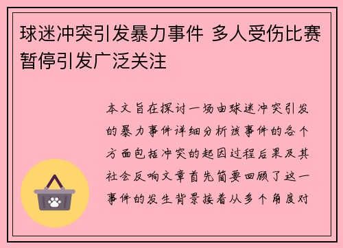 球迷冲突引发暴力事件 多人受伤比赛暂停引发广泛关注