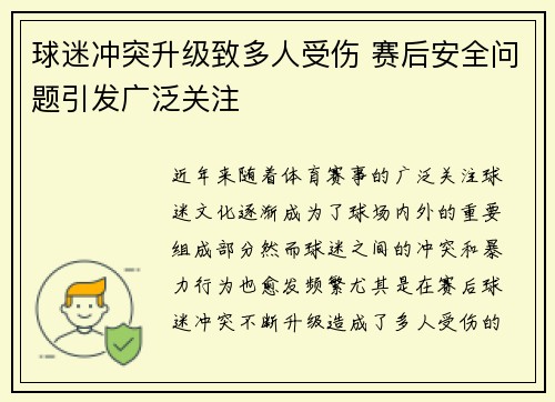 球迷冲突升级致多人受伤 赛后安全问题引发广泛关注